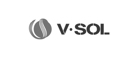 V sol logo bw
